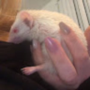 Meet your Posher, Jaden